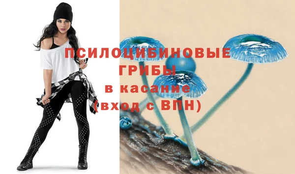 меф Карпинск