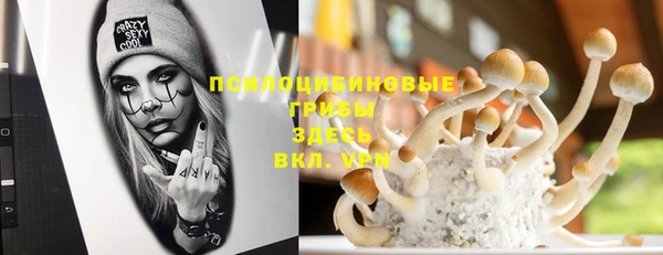 герыч Касимов