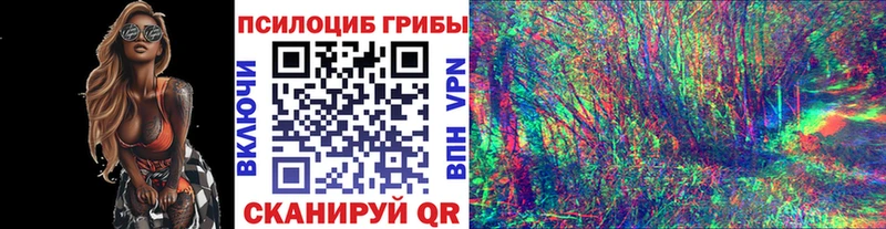 Галлюциногенные грибы Cubensis  Купить  Каменск-Шахтинский 